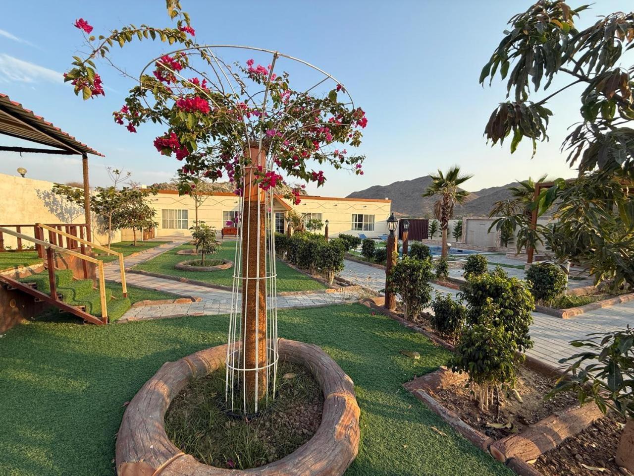 800 Mountain Resort Vacation House Fujairah Exterior photo